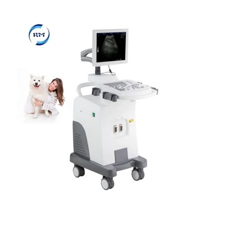 Factory Price High Quality Trolley Bw Ultrasound Machine Veterinary Use