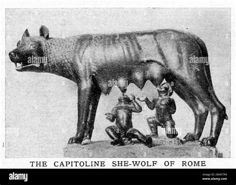 The Capitoline She-Wolf Of Rome (Romulus & Remus Stock Photo - Alamy