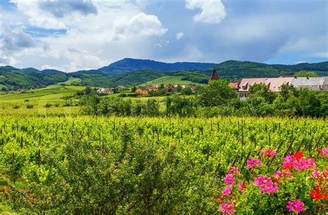 Alsace Landscape France Stock Image Colourbox