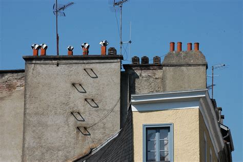 Hautes Pyrénées Occitània FRANÇA visol Flickr