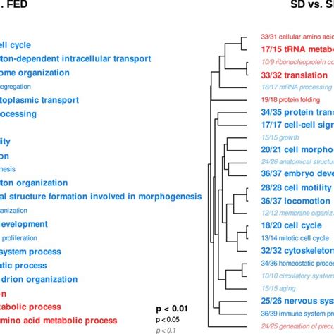 Gene Ontology Go Terms Significantly Enriched In The Biological Download Scientific Diagram