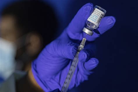 Variole Du Singe Traitement Vaccin Confinement Comment La France