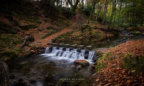 Tollymore Forest Park Landscape Photography Andrew Mckenna Wedding