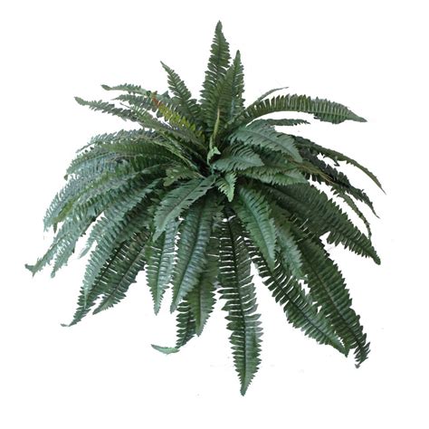 Artificial Boston Fern 76cm Greenery Imports