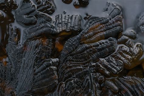 CRINOIDS :: Behance