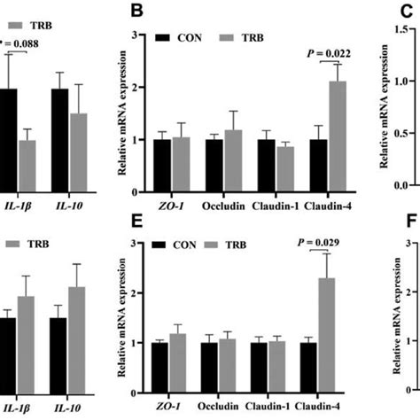 Effects Of Tributyrin Administration On Toll Like Receptor 2 Tlr2 Download Scientific