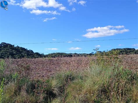 Polícia Ambiental fiscaliza projeto de recuperação de área em Sede