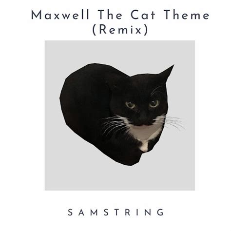 Maxwell The Cat Theme Samstring Remix Youtube Music