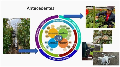 Congreso Socolen Manejo Integrado De Plagas Y Enfermedades