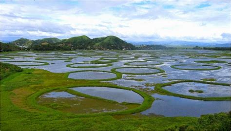 Amazing Manipur: Loktak Lake : The floating paradise of Manipur