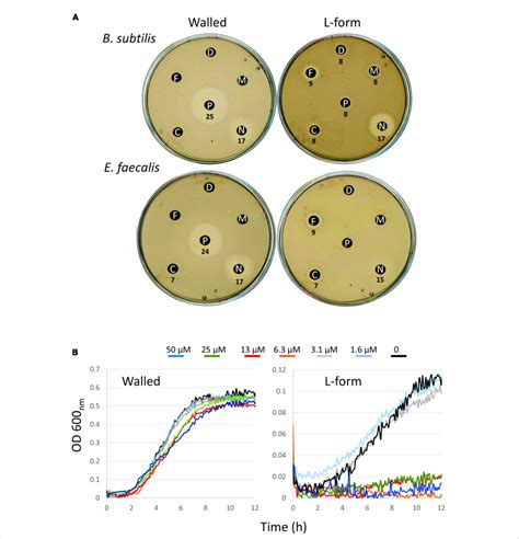 Differential Effects Of Compounds On Walled Cells And L Forms Of E