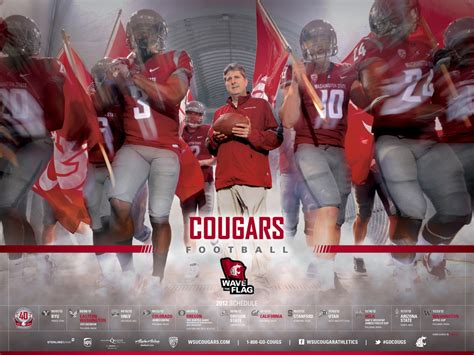 Wsu Cougar Wallpaper Wallpapersafari