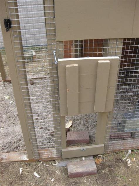 Need Info On Size And Placement Of Chicken Pop Door Backyard Chickens Learn How To Raise