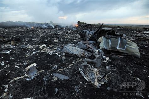 ウクライナでマレーシア航空機撃墜か、295人全員死亡の情報 写真20枚 国際ニュース：afpbb News