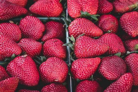 Strawberries Fruits Red Free Photo On Pixabay Pixabay