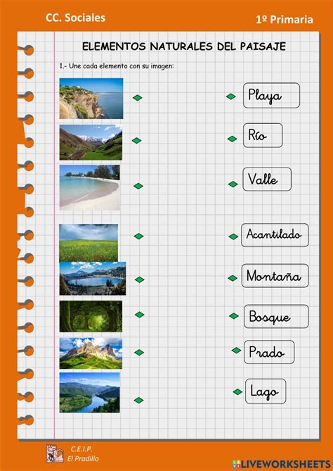 Ficha Online De Los Paisajes Para Primero De Primaria Puedes Hacer Los Ejercicios Online O