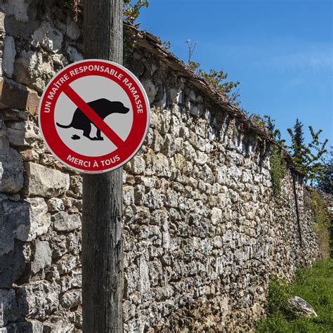 PANNEAU DÉJECTIONS CANINES Interdites Un Maître Responsable Ramasse