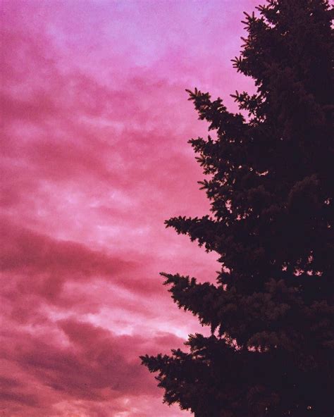 Dark Pink Aesthetic Wallpapers Top Free Dark Pink Aesthetic