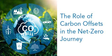 The Role Of Carbon Offsets In The Net Zero Journey