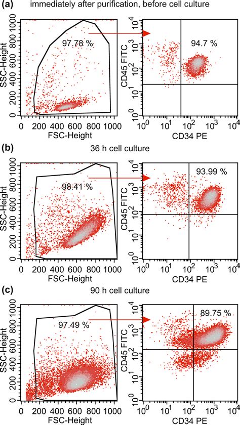 Fraction Of Cd34⁺ Following Selection Using Anti Cd34 Moab Coated