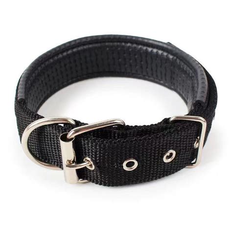 Heavy Duty Dog Collar with Handle for Medium and Large Dogs – Collar ...