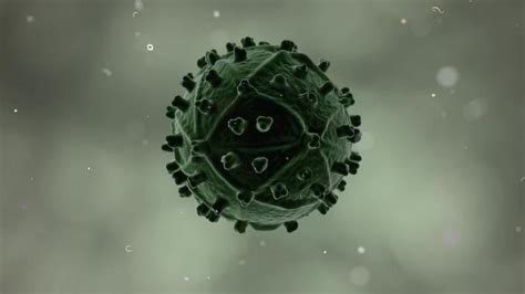 Virus Animation Stock Video Footage for Free Download