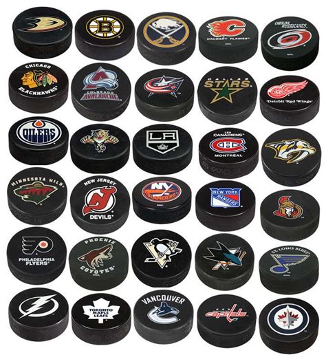 Sherwood NHL Team Basic Logo Ice Hockey Pucks