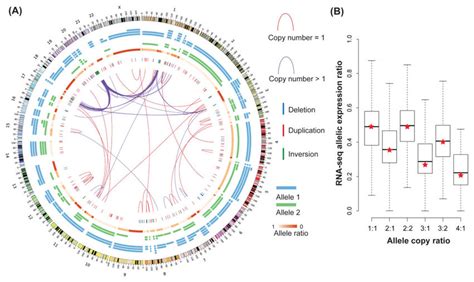 Overview Of The Genomic Landscape From The Weaver Analysis Of The Mcf 7 Download Scientific