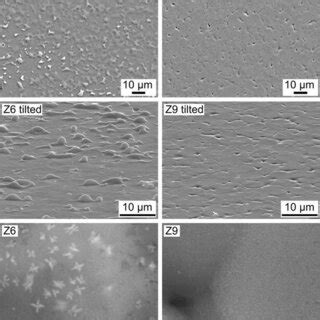 Sem Micrographs Of The Surfaces Of The Glassceramics Z Left And Z