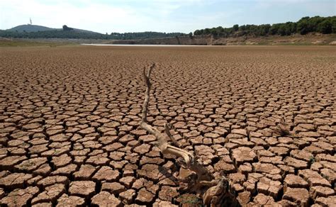 ¿cómo Afecta La Sequía A Nuesta Querida España L Rtvees