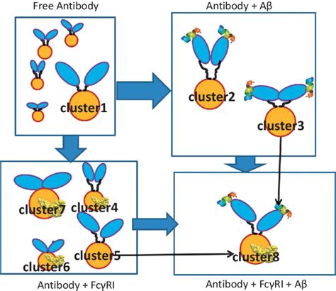 Antibody Antigen Recognition Mechanism The Two Fab Domains Are Shown