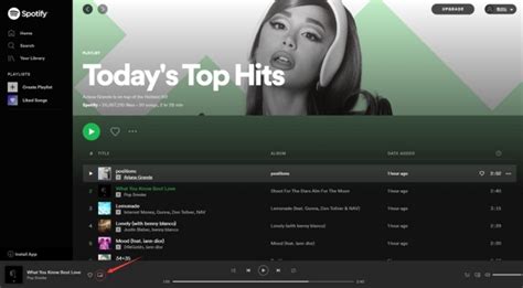 C Mo Escuchar Spotify Mini Player En Windows Mac Tunelf