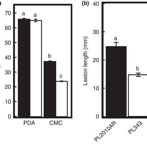 Phenotypic Characterization Of Phomopsis Longicolla Mutant Strain