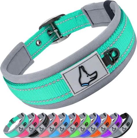 Best Dog Collars For Comfort, Durability, And Style | Alpha Paw