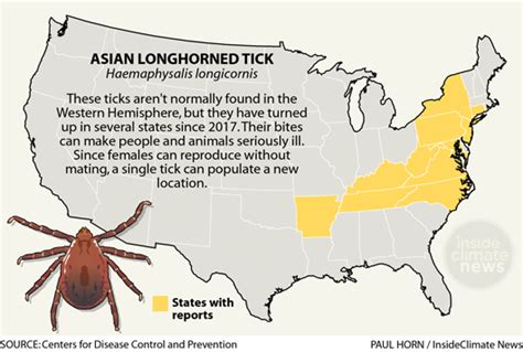 As Ticks Spread New Disease Risks Threaten People Pets And Livestock