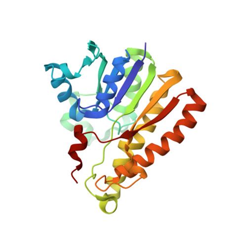 Rcsb Pdb 1nnu Crystal Structure Analysis Of Plasmodium Falciparum