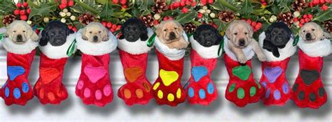 Pin By Lisa Van Engen On Screensavers Facebook Christmas Cover Photos