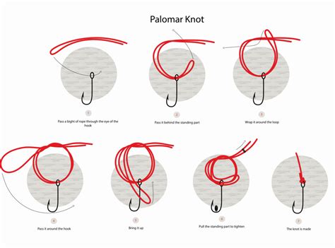 How To Tie The Palomar Knot Illustrated Guide