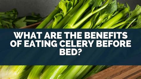 What Are The Benefits Of Eating Celery Before Bed