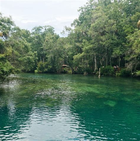 Homosassa Springs Wildlife State Park - Florida Lives | State parks ...