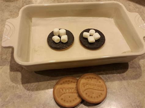 How To Use Thanks A Lot Girl Scout Cookies to Make Smores