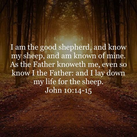 John 10 14 15 I Am The Good Shepherd And Know My Sheep And Am Known