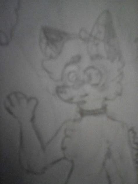 Dibujos Feos Hechos A Lápiz Y Sin Colorear Furry Español Amino