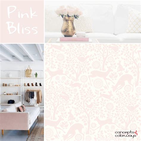 Benjamin Moore Pink Bliss Concepts And Colorways