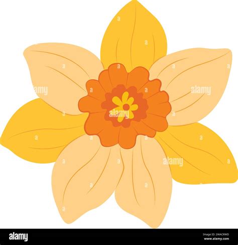 Narcissus Odoratus Cut Out Stock Images And Pictures Alamy