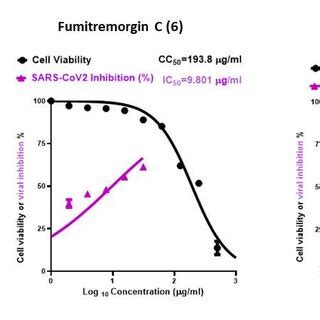 Graph Of Cytotoxicity Concentration CC50 And Inhibitory Concentration