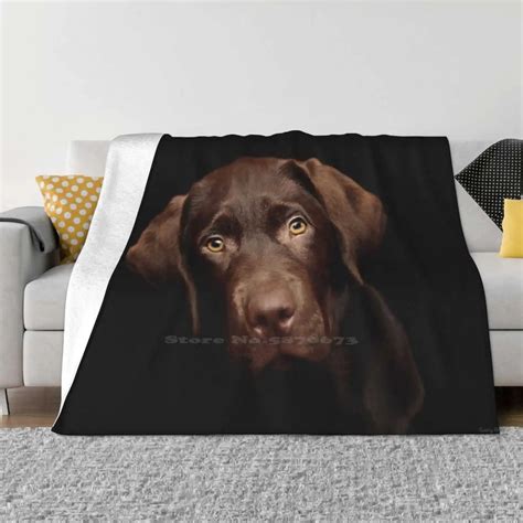 Labrador Retriever Blanket Gifti Club