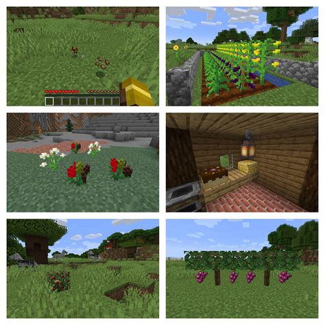 Mod Simple Farming 1 14 4 1 16 4 Minecraft France