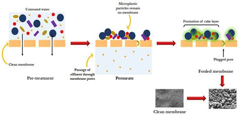 Water Free Full Text Microplastics In The Ecosystem An Overview On Detection Removal