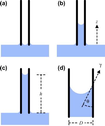 Depiction Of Capillary Rise In A Small Diameter Tube A The Tube